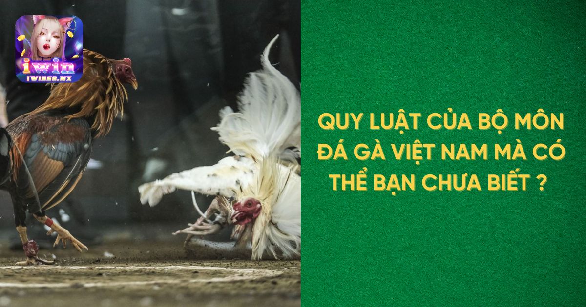 Quy luật của bộ môn đá gà Việt Nam mà có thể bạn chưa biết ? 